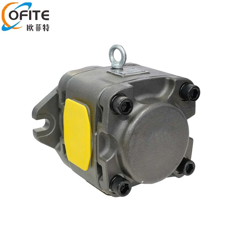 Factory Direct Sales HG1 Series Hydraulic Gear Pump Hydraulic Pump Oil Pump for Injection Molding Machines Bending Machines