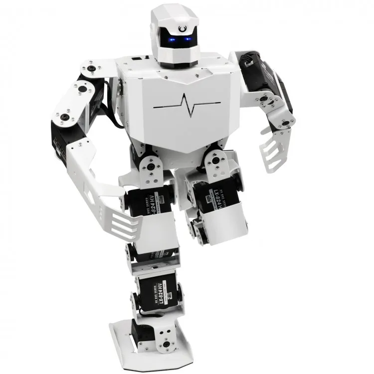 humanoid robot kit