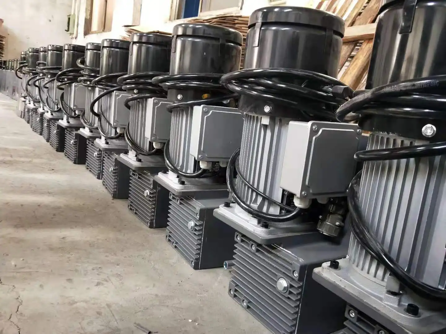 Electric Hoist for Suspended Platform Platform Hoist Motor