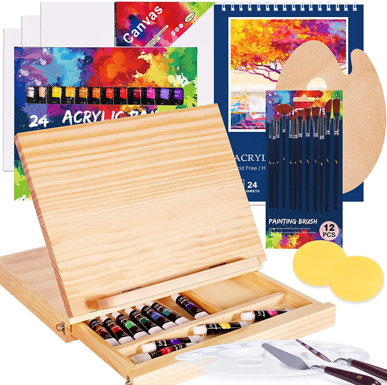 51 Piece Professional Acrylic Paint Kit Painting Supplies Set Includes