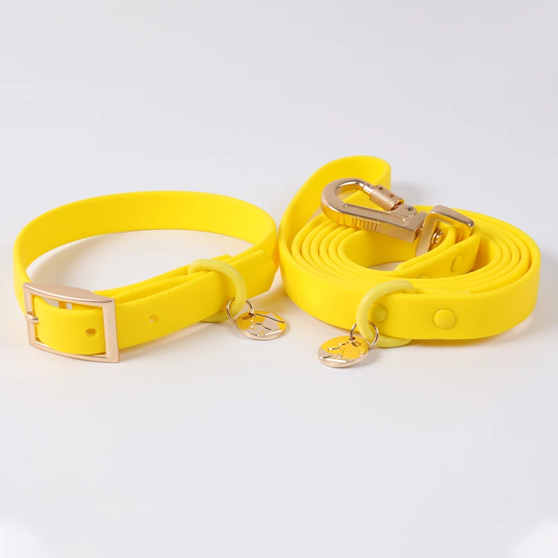 Wholesale Soft Pvc Waterproof Dog Buckle Collar Leash With Name Tag