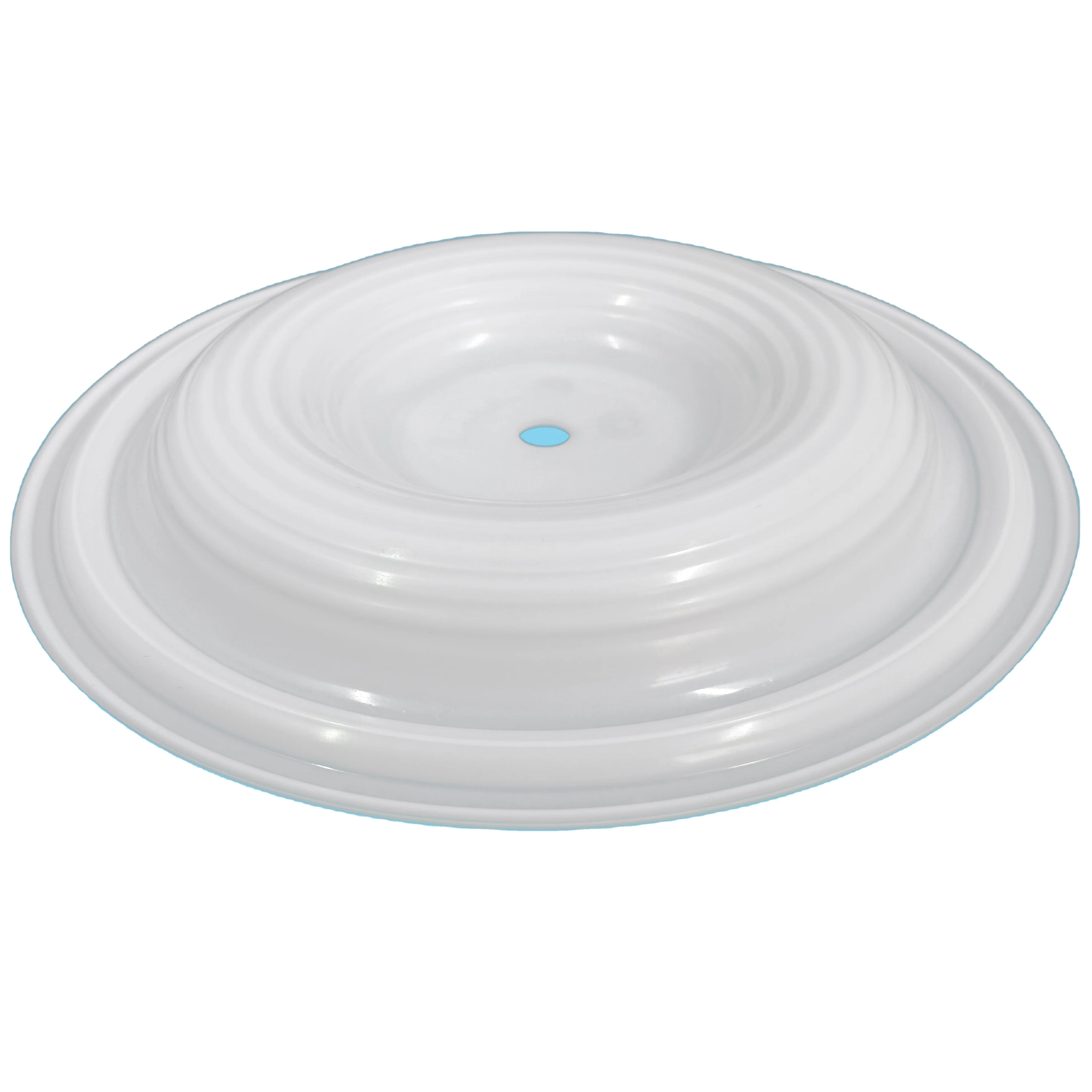 CF02-1010-55 Diaphragm