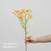 Single 30-head Chamomile - Sunset Red