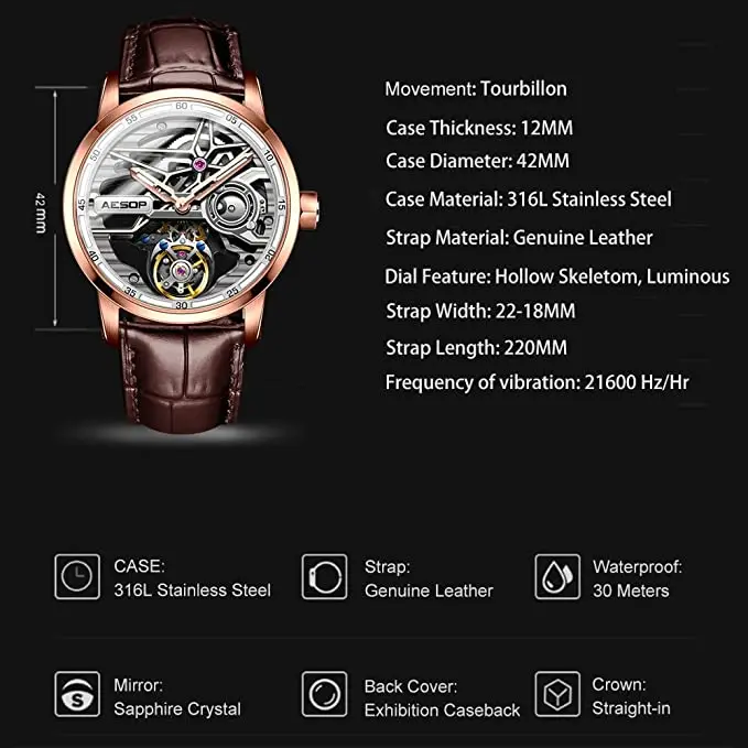 Aesop AESOP Watches - Explore the Skeleton Tourbillon Men's Collection