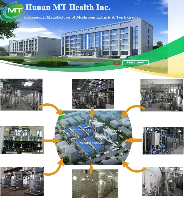 ISO Factory Supply Natural Kiwano Cucumber Extract Powder Kiwano Melon Powder 10:1