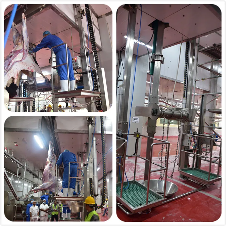 Slaughterhouse design 50-100 cow slaughterhouse meat processing equipment