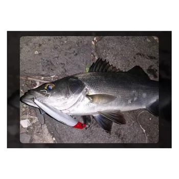 Floating Minnow Lure, Hard Bionic Fishing Bait for Sea Bass and Topmouth Culter, Outdoor Fishing Tackle – Minnow – view 4
