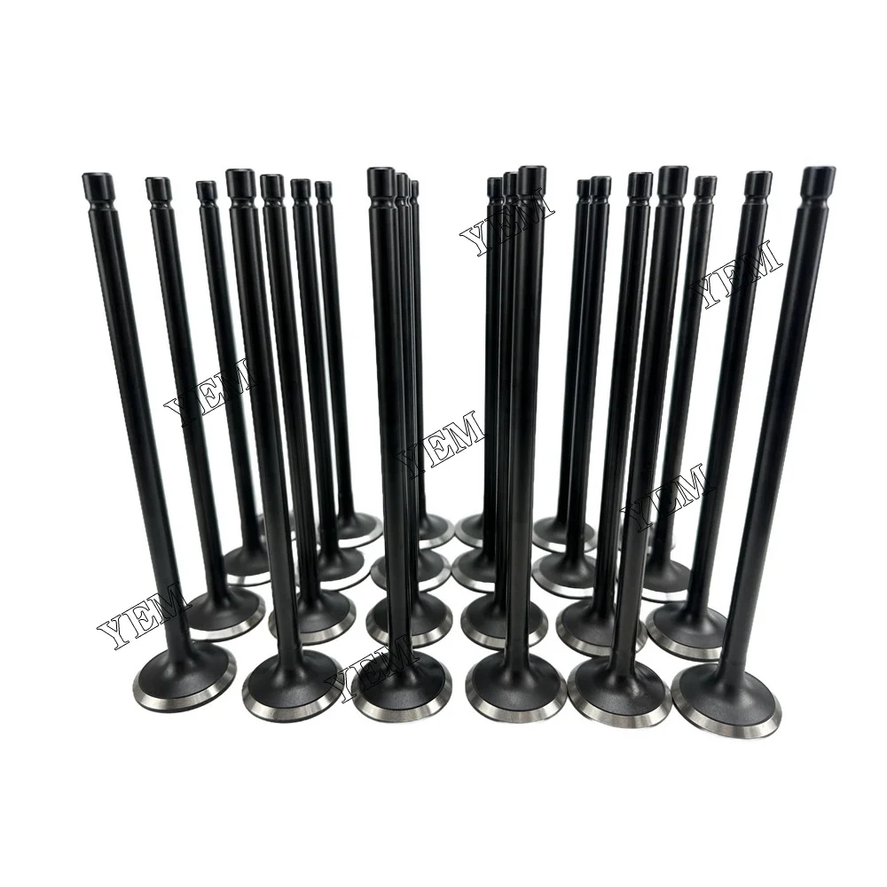 Exhaust Intake Valve Fit for Hyundai D6CB Engine 2