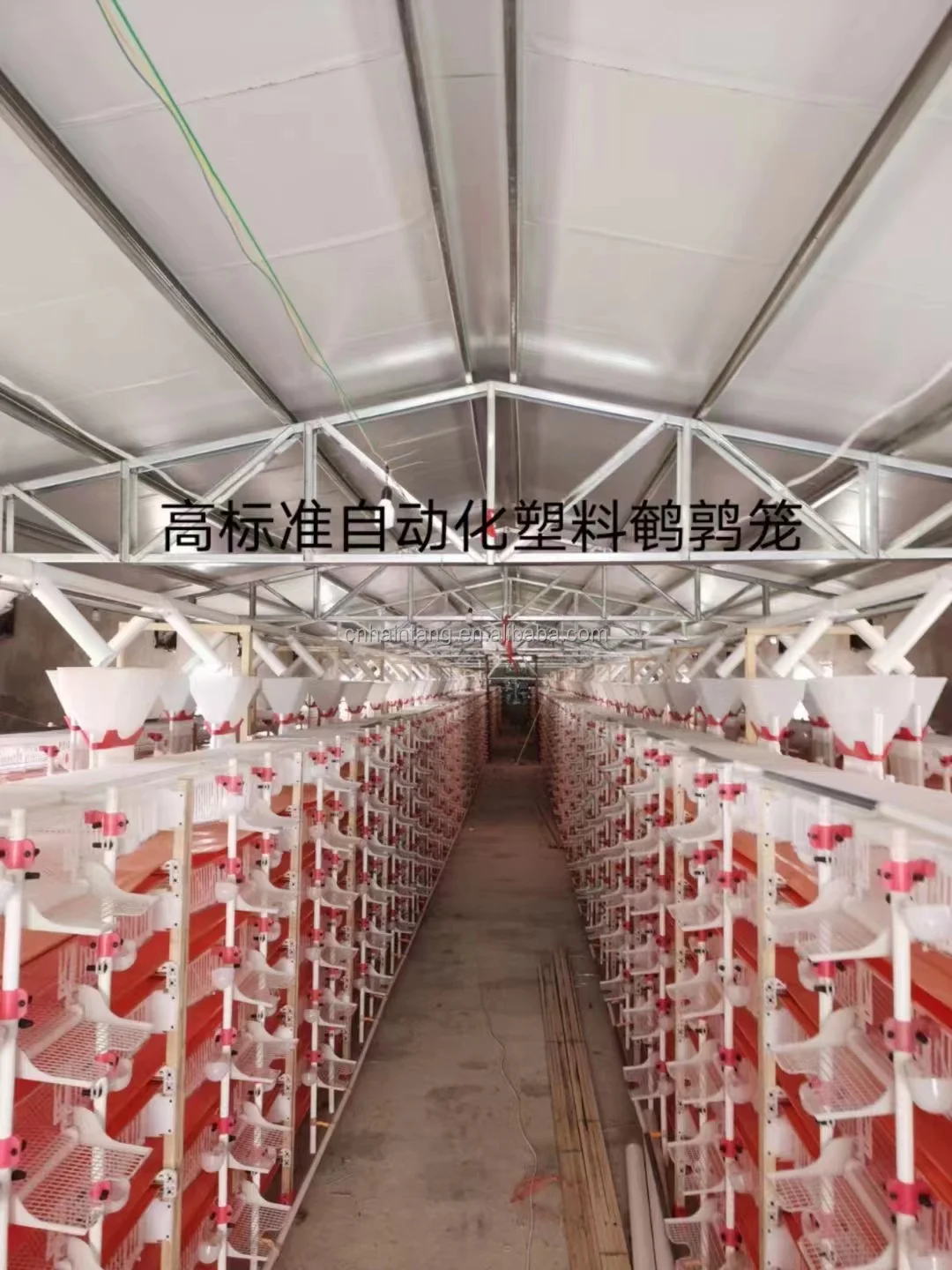 Pvc Material Automatic Quail Cage Buy Commercial Quail Cages,Quail