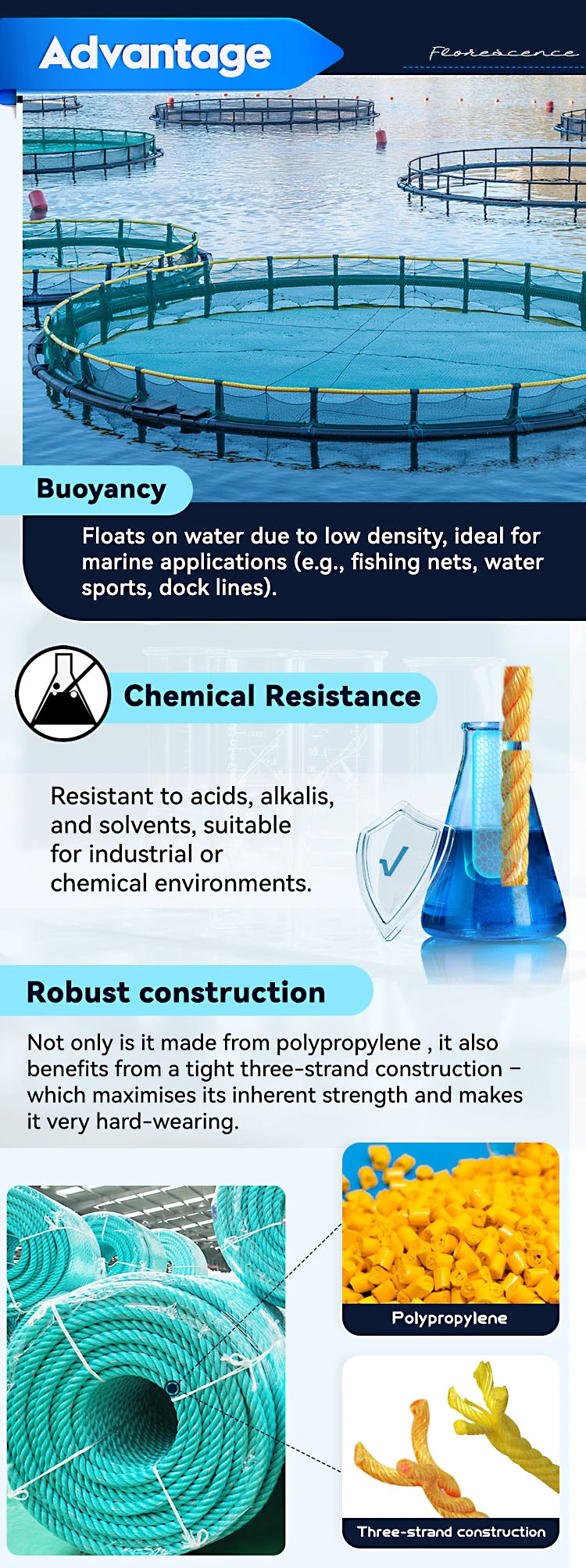 Twisted 3 Strands Polypropylene pp Danline Rope 10mm Packaging Rope for Fishing 1