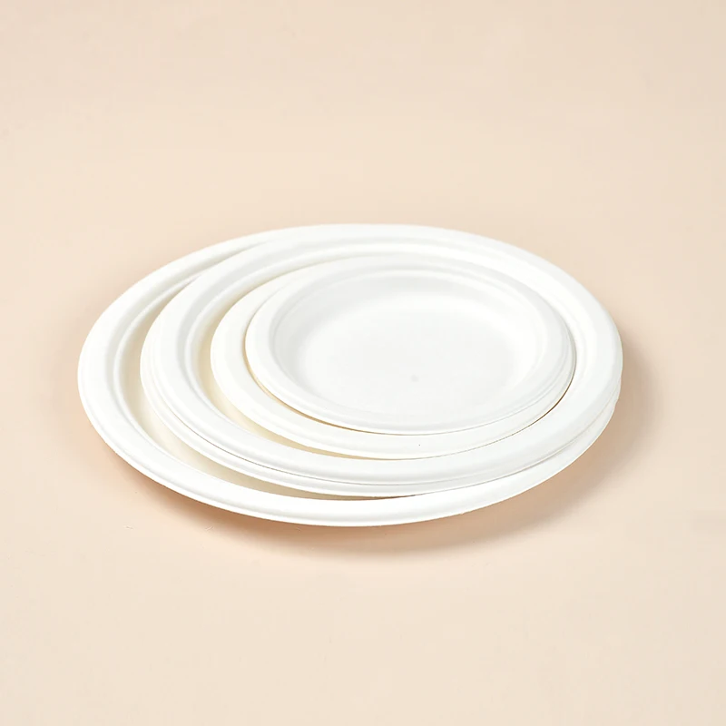 Disposable Biodegradable Plates Sugarcane Bagasse Paper Pulp Mould 6