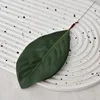 Film Feuilles de Magnolia - Grand