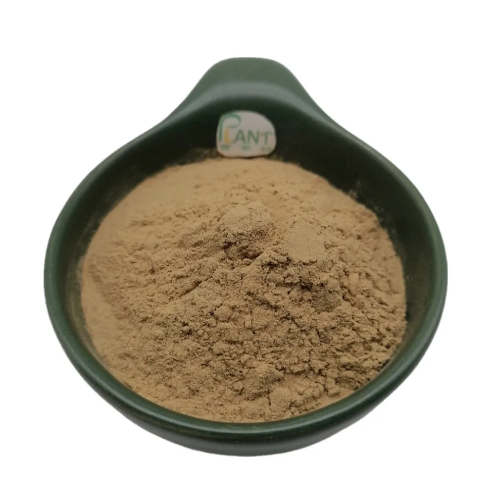 High Concentration 50:1 Radula Marginata Extract Powder - Natural Plant  Extract for Health Food Applications, 1kg Package Available