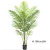 green Type D 180cm