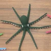 Verde scuro