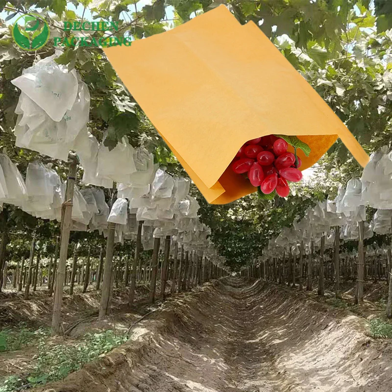 Waxed Custom Size Grape Protection Paper Pp Non-woven Fruit Cover Bag