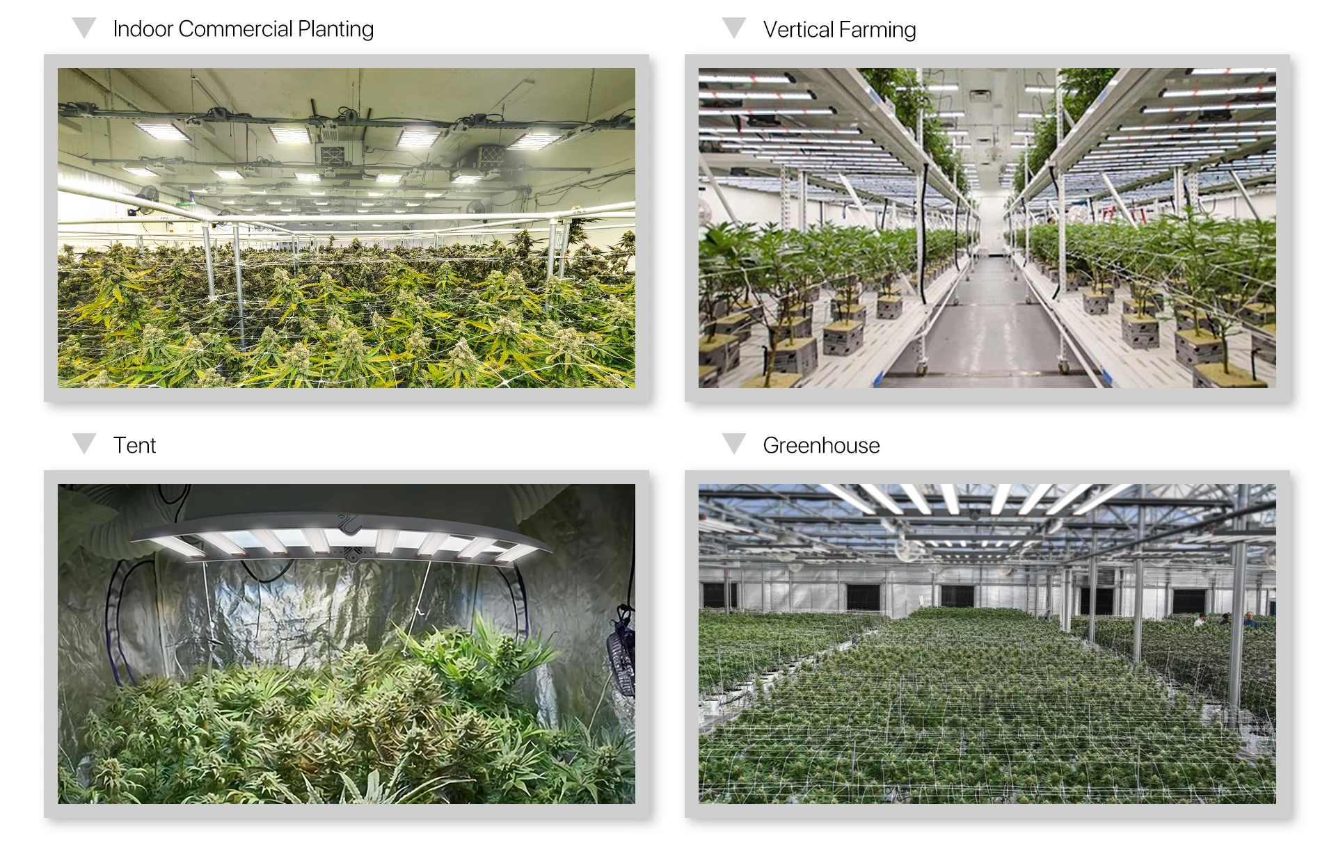 Vertical Farming Grow Lights Solution Folding Grow Light Commercial