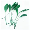 Deep Green