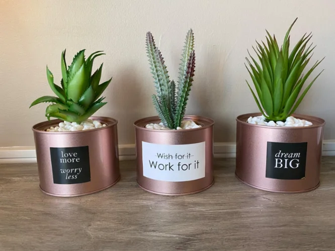 Office Decor for Women Desk- Rose Gold Decor Desk Plant For