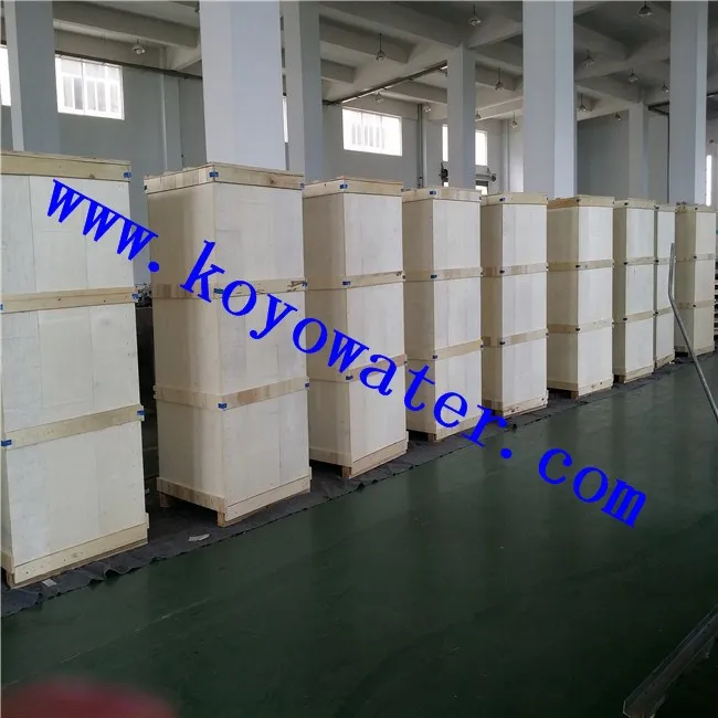 Full Automatic 2000 Sachet Water Production Line/1000l/h Pure Water