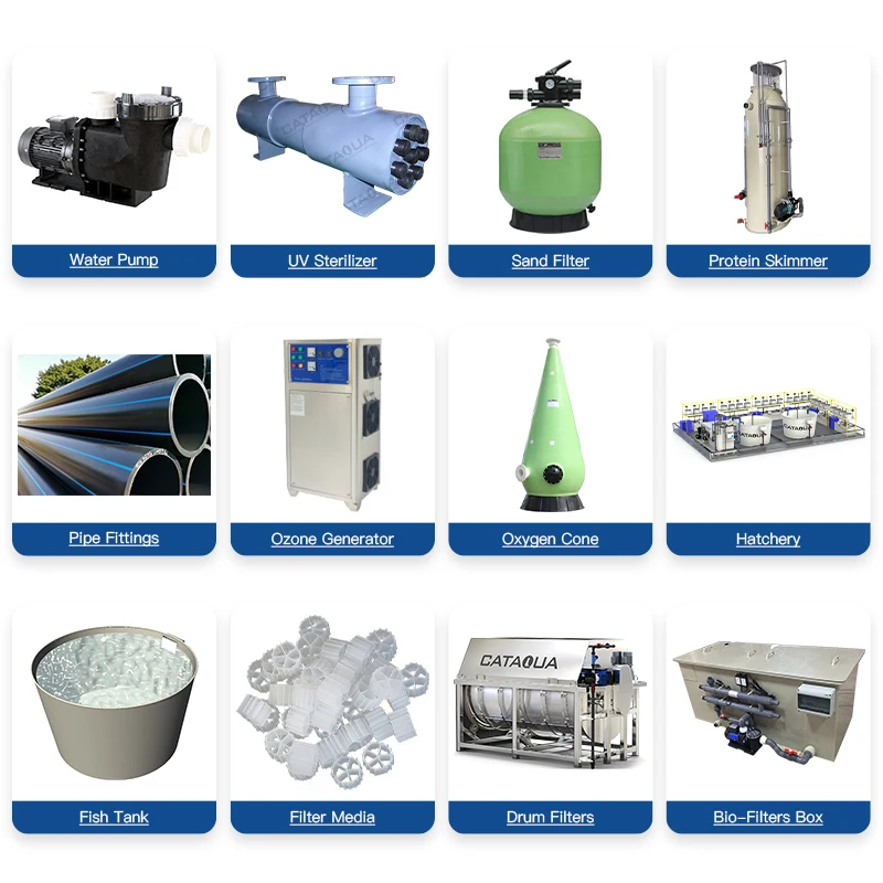 CATAQUA RAS Recirculating Aquaculture System Indoor Small Ras System Equipment for Fish Farming