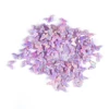 papillon3-5x3.1mm OP87