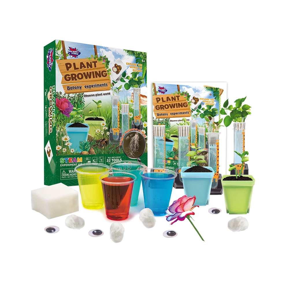 BIG BANG SCIENCE Kids Plant Growing Kit Best-seller Garden Planter Kit  Plant Science Activity Toy for Kid 6+