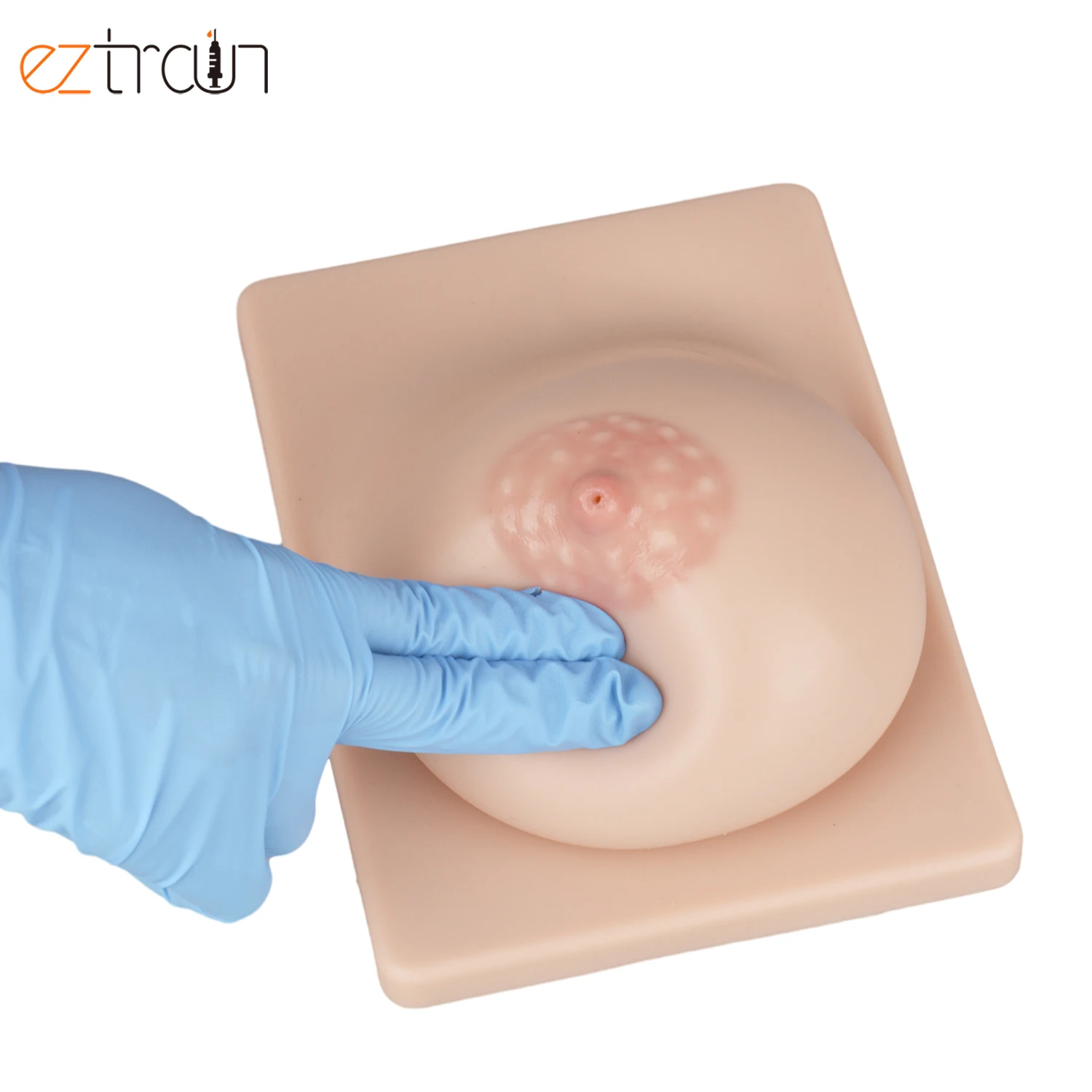 Lactating Breast Model for Mothers Lactation Consultant Breastfeeding Education