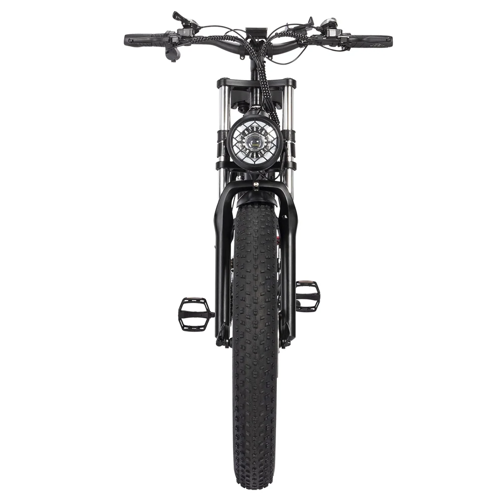 Ridstar H26 Pro Elektro fahrrad, 26*4,0 Zoll fette Reifen 1000W Motor 48V/20Ah Batterie 36mph Höchst geschwindigkeit 90km Reichw