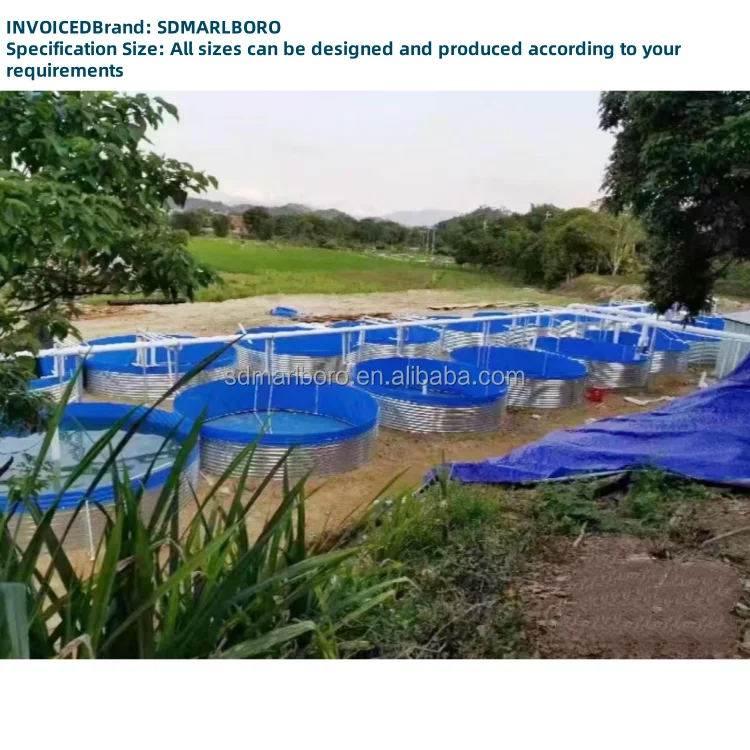 Большой пластиковый резервуар для выращивания креветок из ПВХ