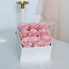 Rosa-9-quadrato