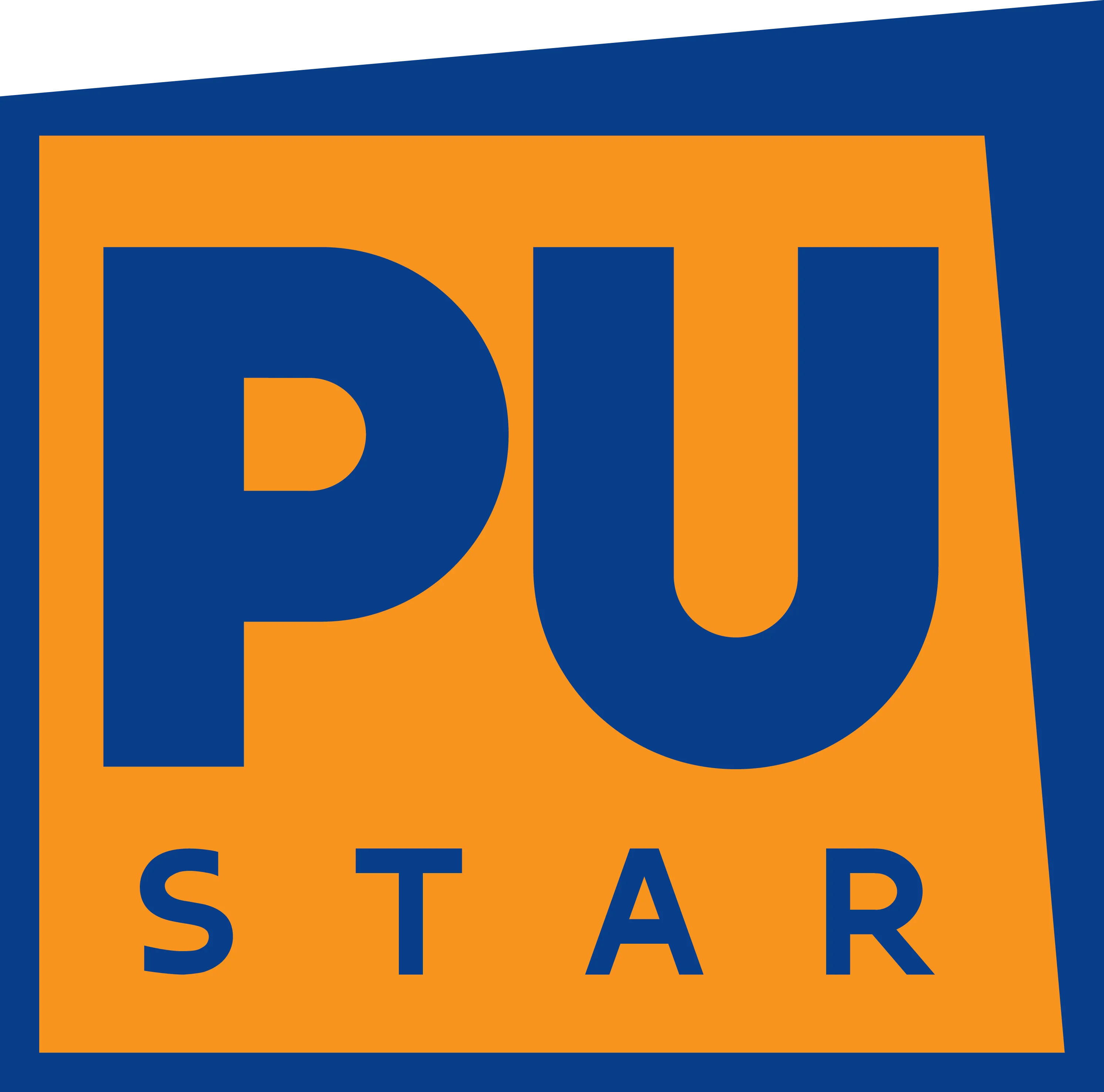 Company Overview Guangdong Pustar Adhesives & Sealants Co., Ltd.