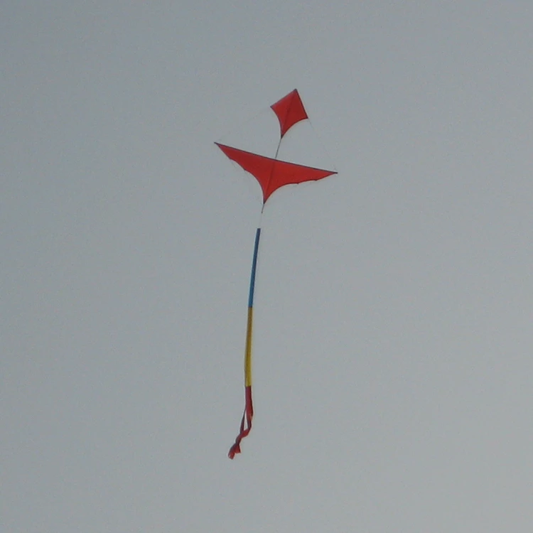 Hot Sell Huge 3D Kite For Flying