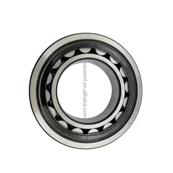 High Cost Performance Ratio NJ2213-E-XL-TVP2 NJ2213-E-TVP2 Cylindrical Roller Bearing