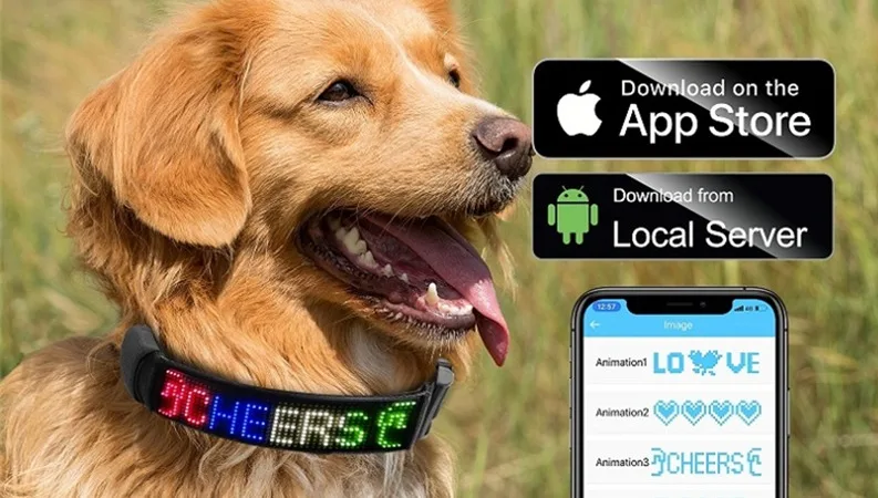 bark collar with app