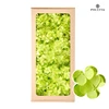 Vert olive