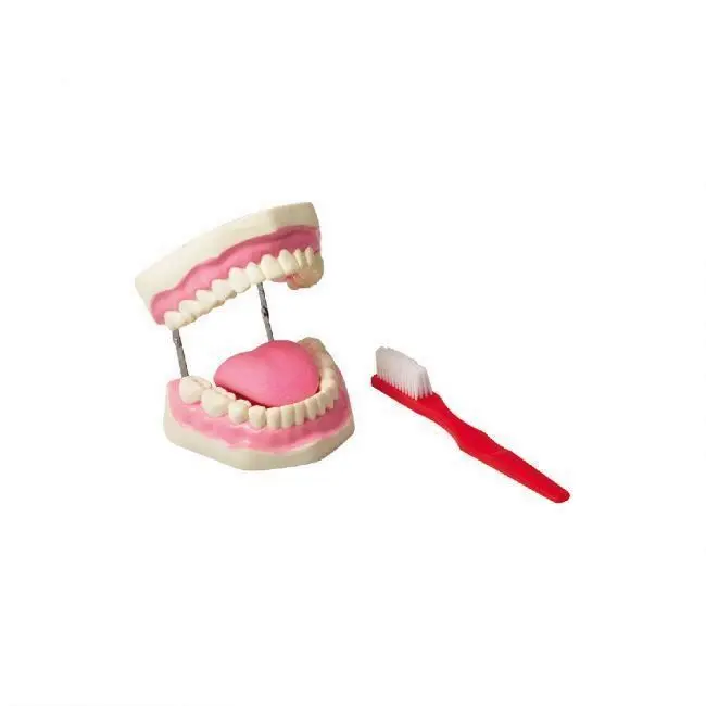 50108.02 Tooth Hygiene Set