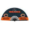 Ours de Chicago
