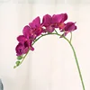 Rose Madder