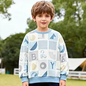 OEM ODM Custom Cotton Fleece Terry Kid Men Hoodie Comfortable Eco Friendly Heavyweight Oversized Children Pullover Sweatshirts