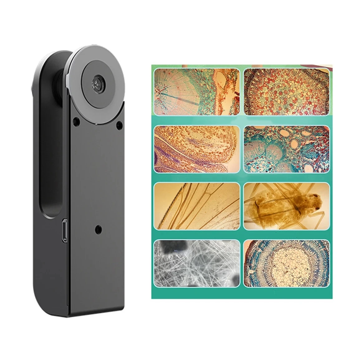 Universal Mobilephone Microscope Cell Phone Microlens 400x Microscope Camera Lens for Phone