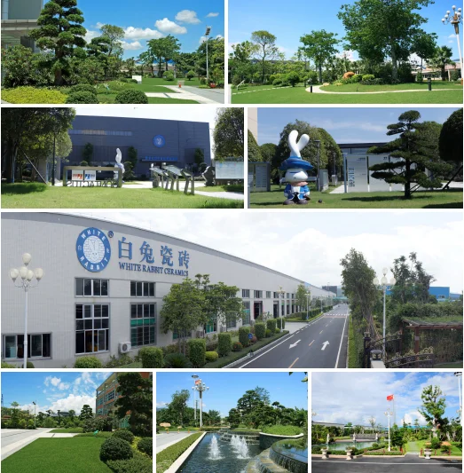 Hunan White Rabbit Trading Co., Ltd.
