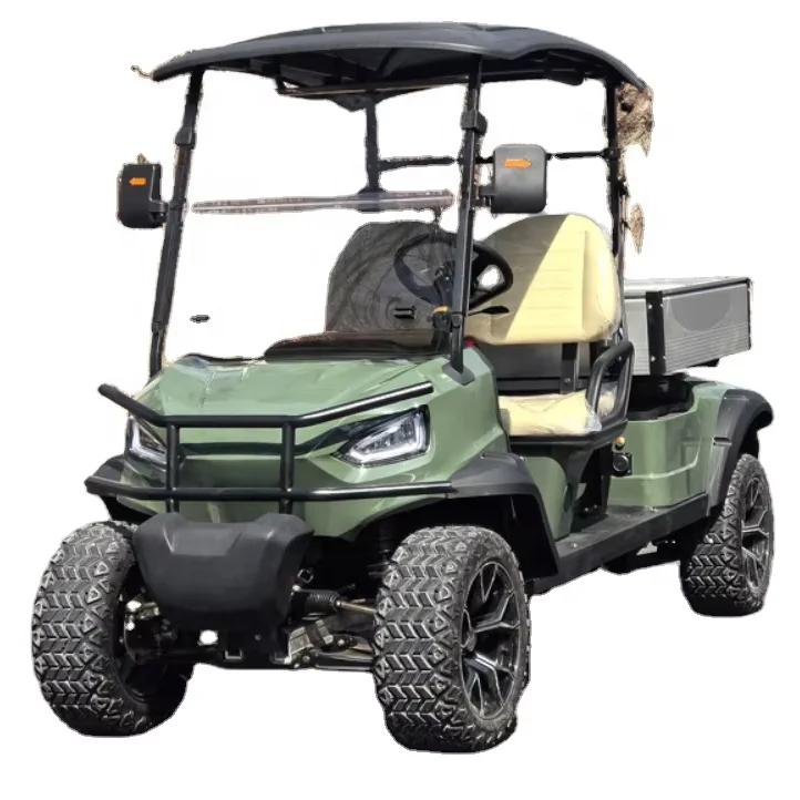 2025 2-Seater Parison Electric Golf Cart  Carry Cargo Cart 2025SDZX12PTPR183