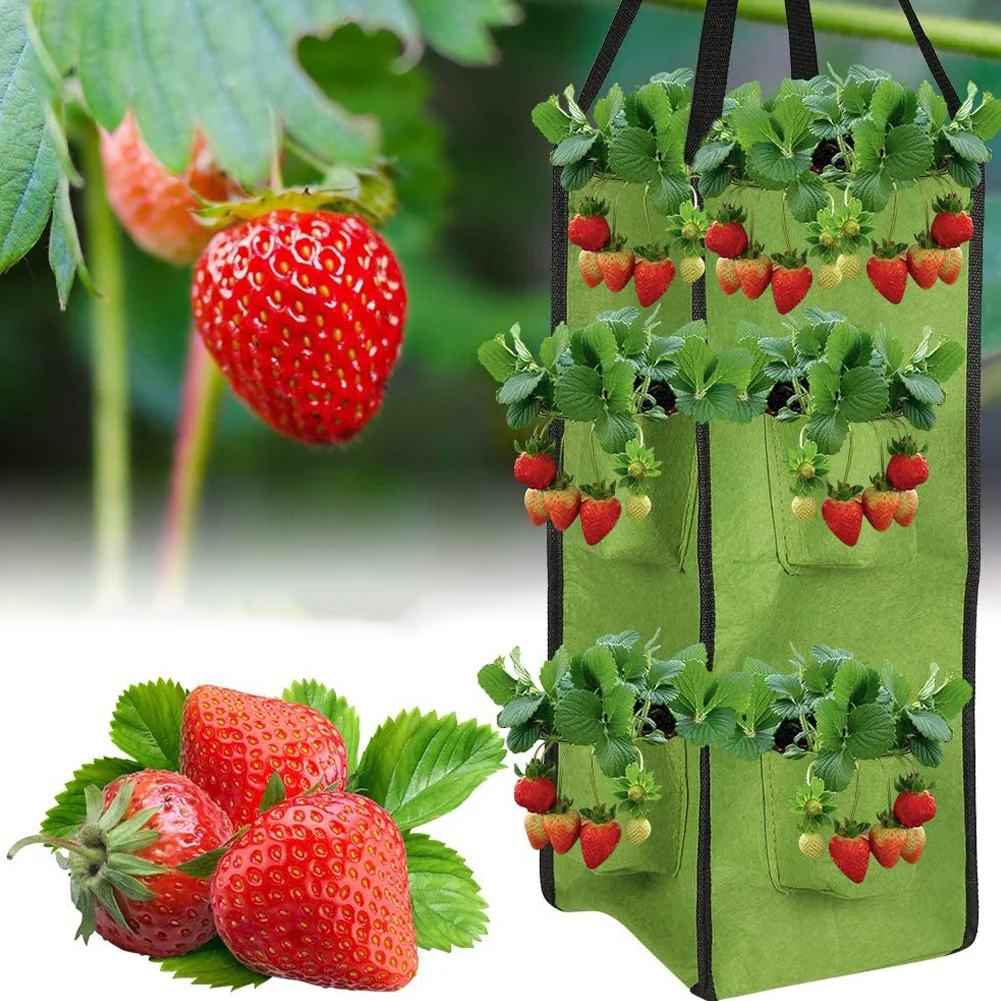 Strawberry Planting Grow Bag Eco-Friendly Strawberry Planter Bag with Grow Pocke 