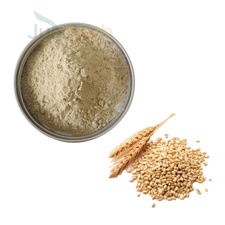 wheat protein powder 90%
