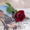 MY - Single Velvet Rose - Wine Red