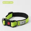 Double D-buckle fluorescent green single neck brace