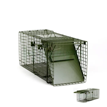 Haierc Fox Cage Trap Fold Wire Fox Trap Cage Fox Traps For Sale - Buy ...