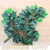 12Pcs of UV-resistant banyan leaves