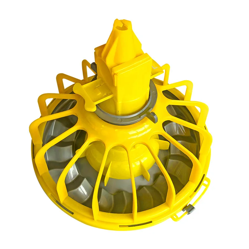 Automatic Poultry Feeding System for Chicken Water Dispensers and Feeders for Chicken Farms